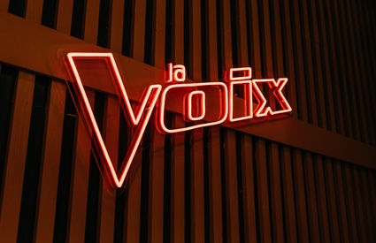 Image de l'article « La voix :» Ce coach nous fait hurler dans notre salon suite à sa décision aux Qualifications