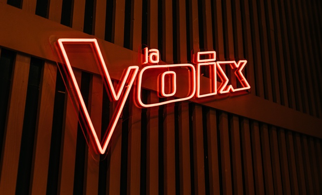 Image de l'article « La voix :» Ce coach nous fait hurler dans notre salon suite à sa décision aux Qualifications