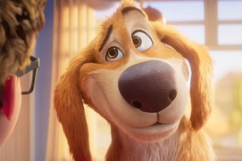 Images du film Charlie the Wonderdog Images du film Charlie the Wonderdog