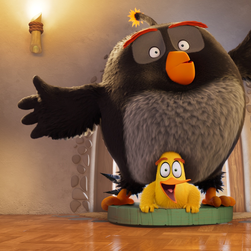 Image du film The Angry Birds 3