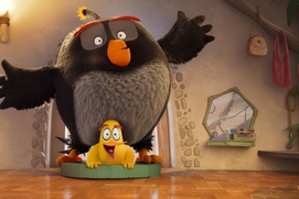 Image du film The Angry Birds 3