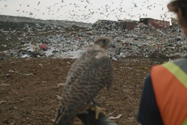 Image du film Les héritiers