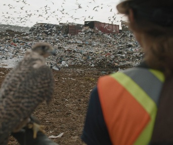 Image du film Les héritiers