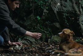 Image du film Wind, Talk to Me