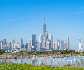 Image du fim Dubaï et Oman : entre nature et démesure