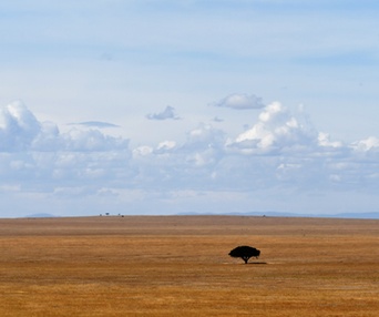 Image du film Les aventuriers voyageurs - Rêve d'Afrique