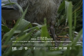 Image du film Les héritiers