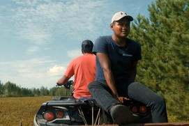 Image du film Les blues du bleuet