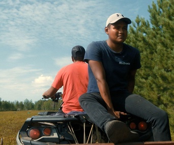 Image du film Les blues du bleuet