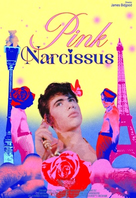 Pink Narcissus