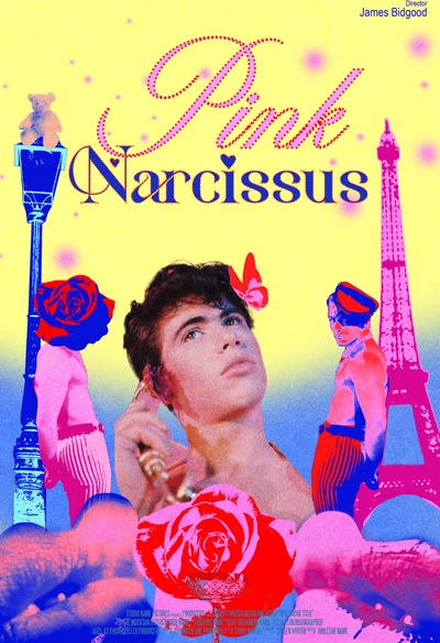 Pink Narcissus