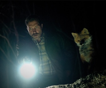 Image du film The Fox