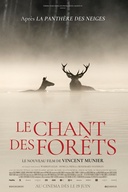 Affiche du film Le chant des forêts