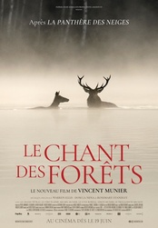 Le chant des forêts