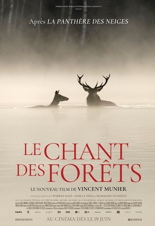 Le chant des forêts