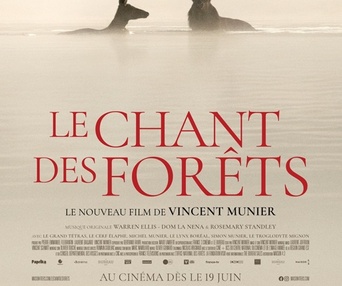Image du film Le chant des forêts