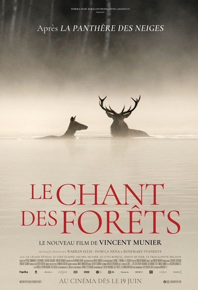 Le chant des forêts