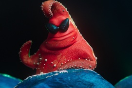 Image du film The Pout-Pout Fish Image du film The Pout-Pout Fish