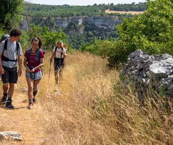 Image du film Compostelle