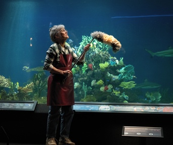 Images du film Remarkably Bright Creatures