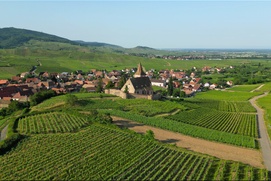 Image du film Alsace : Strasbourg et terroir