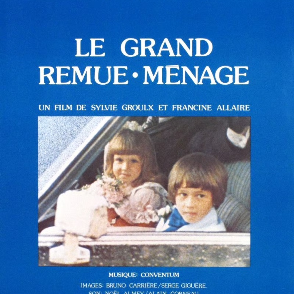 Affiche du film Le grand remue-ménage