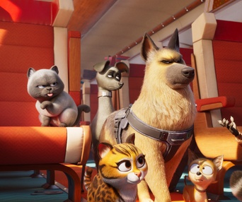 Image du film Le falcon express
