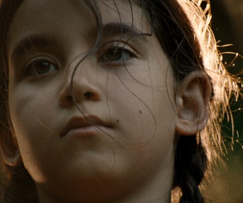 Images du film Blue Heron