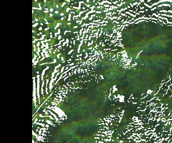 Image du film Chants de l'Est