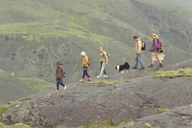 Image du film The Love That Remains&nbsp;