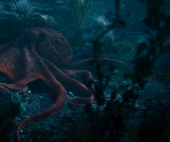 Images du film Remarkably Bright Creatures