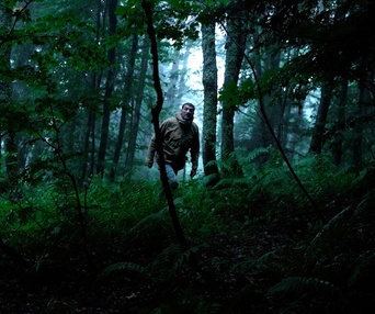 Image du film Les tourmentés
