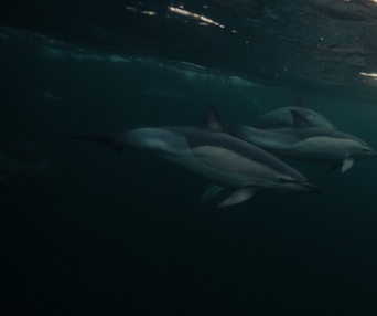 Image du film Murmures