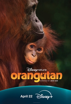 Orang-outan