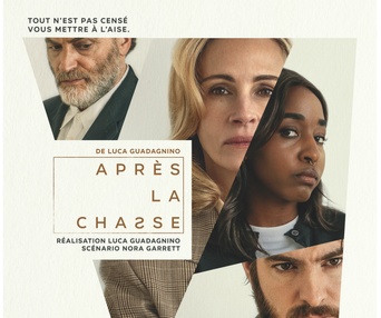 Affiche du film Après la chasse